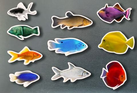  Magneticos peces de colores 