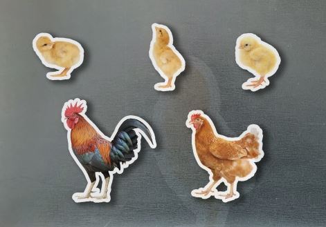  Magneticos familia gallinas 