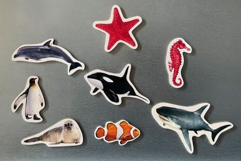  Magneticos marinos 