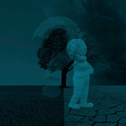 NARRATIVA CLIMÁTICA