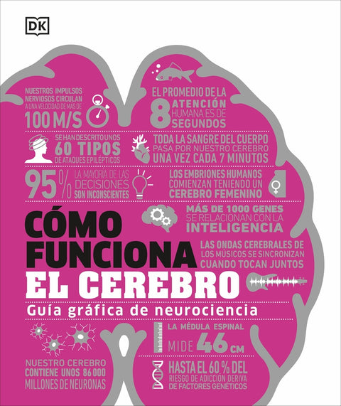  Cómo funciona el cerebro 