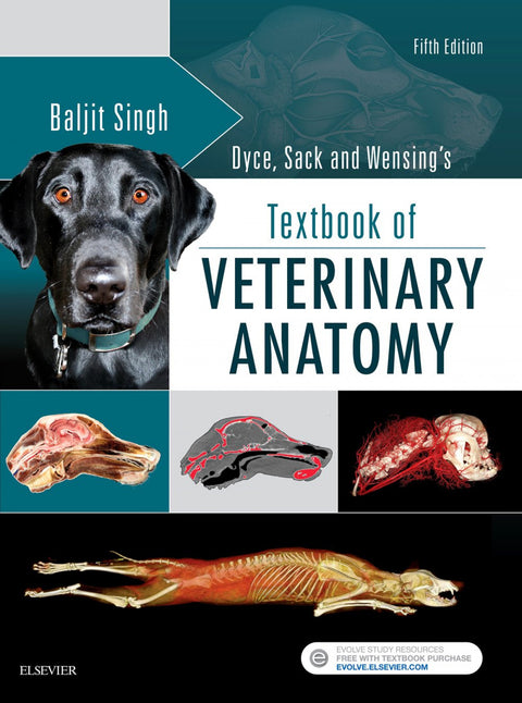  Dyce, Sack, and Wensing's Textbook of Veterinary Anatomy 