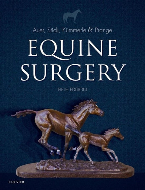  EQUINE SURGERY 