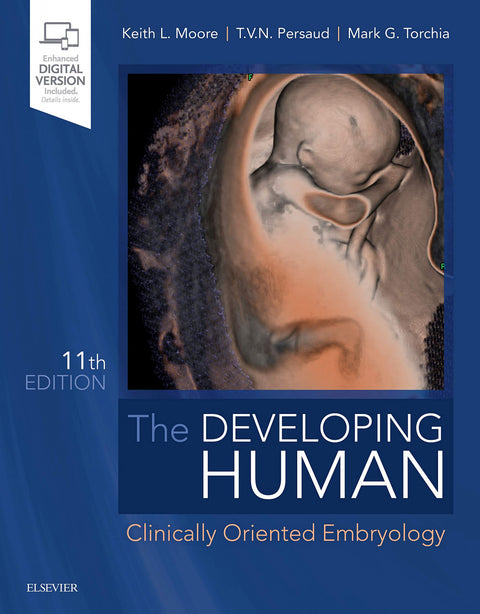  Developing human 