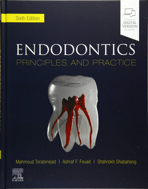  Endodontics 