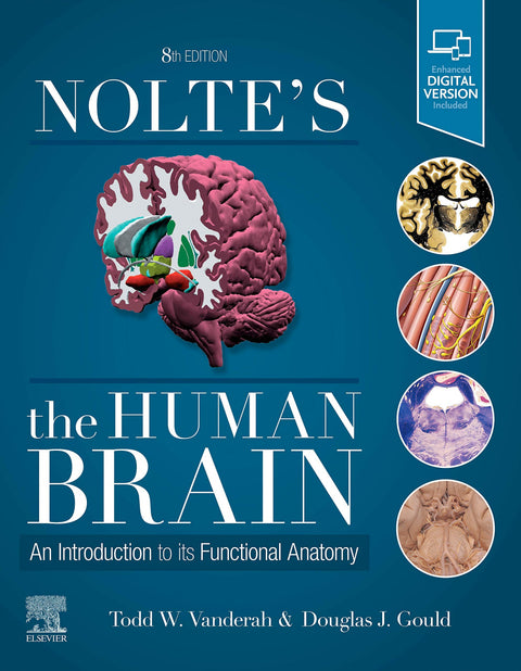  Nolte´s the human brain 