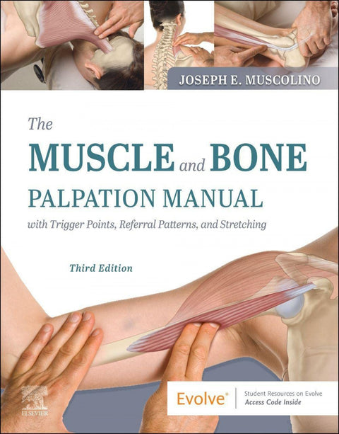  Muscle and bone palpation manual with trigger points 