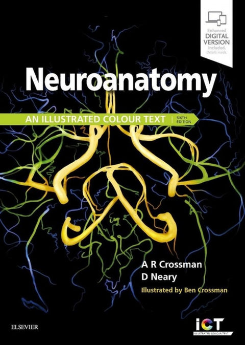  NEUROANATOMY 