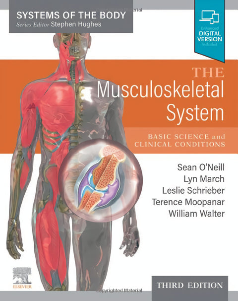  THE MUSCULOSKELETAL SYSTEM 3RD.EDITION 