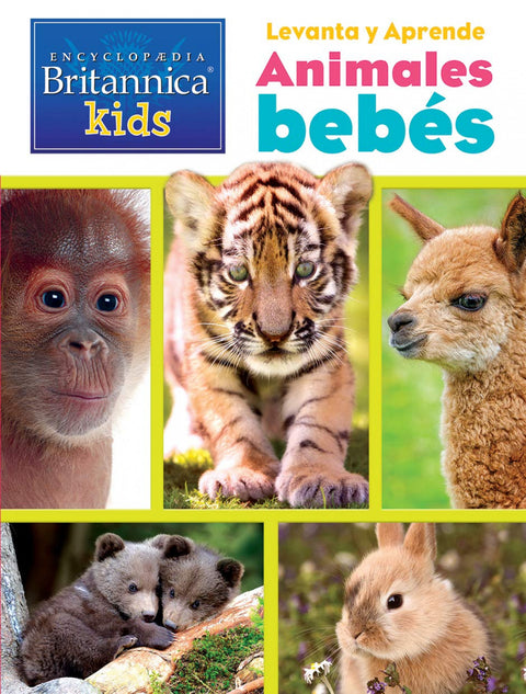  LEVANTA LAS TAPITAS BUSCA Y ENCUENTRA ENCYCLOPEDIA BRITANNICA 