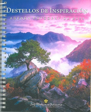  DESTELLOS DE INSPIRACION 2024 