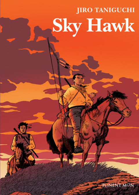  Sky Hawk 