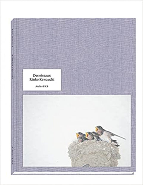  DES OISEAUX 