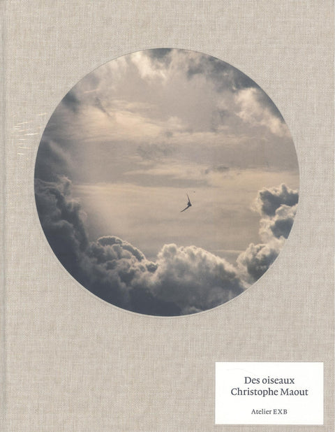  Des Oiseaux 