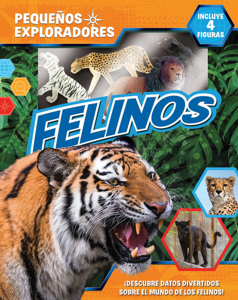  Felinos (Pequeños Exploradores) 