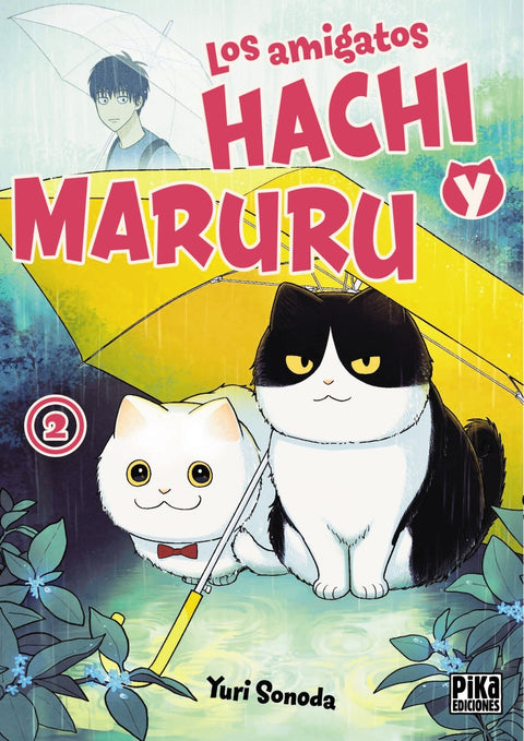  Los amigatos Hachi y Maruru 2 