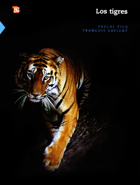  Los tigres 