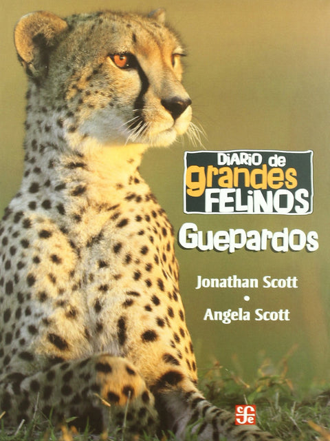  Diario de grandes felinos : Guepardos 