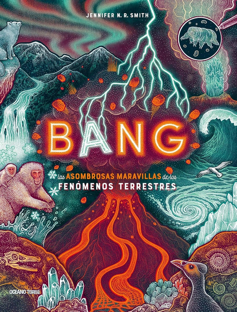  Bang 