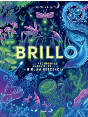  Brillo 