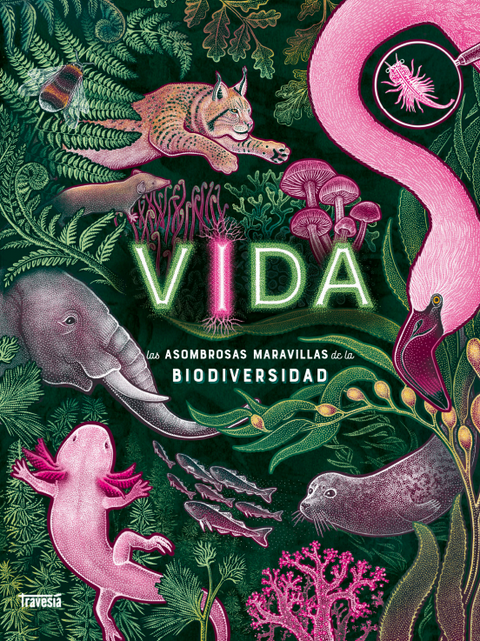  Vida 