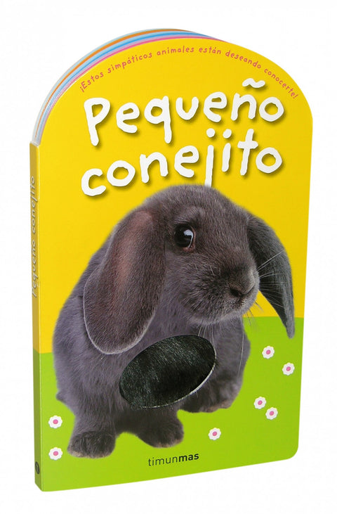  Pequeño conejito 