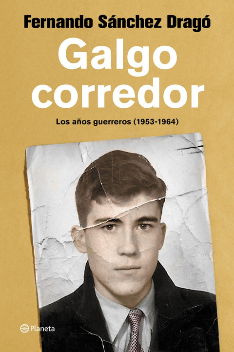  Galgo corredor 