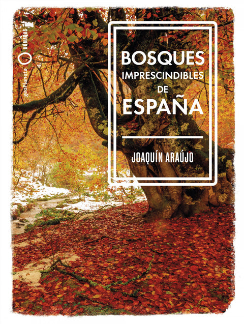  Bosques imprescindibles de España 