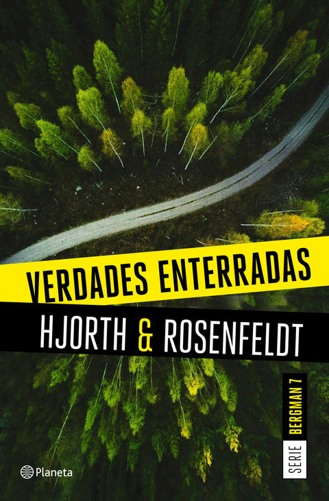  Verdades enterradas (Serie Bergman 7) 