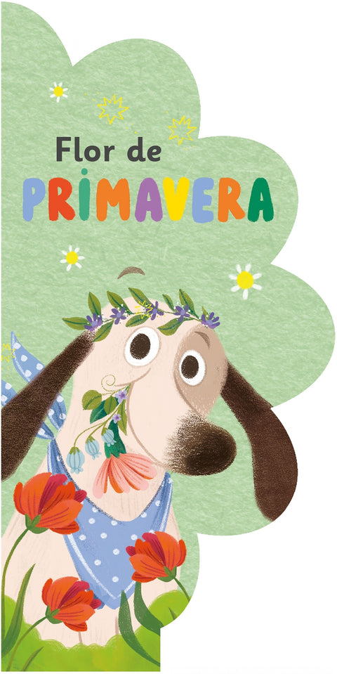  Flor de primavera 