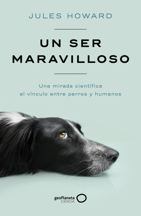  Un ser maravilloso 
