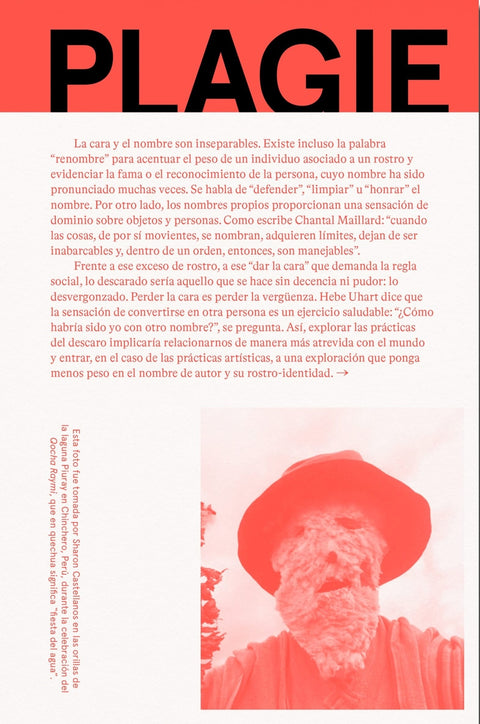 Plagie Copie Manipule Robe Reescriba este libro 