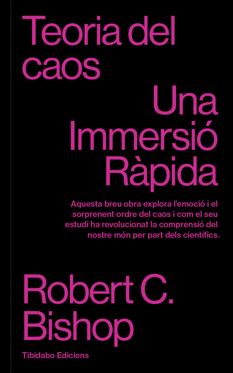  Teoria del caos 