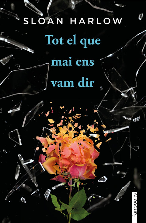  Tot el que mai ens vam dir 