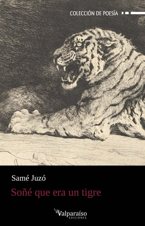  Soñé que era un tigre 