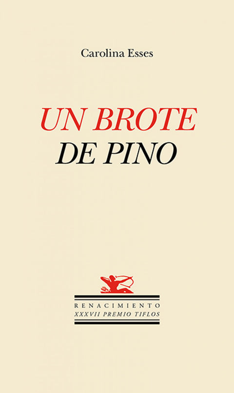  Un brote de pino 