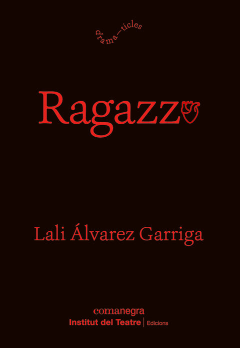  Ragazzo 