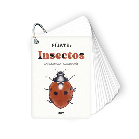  Fíjate: insectos 