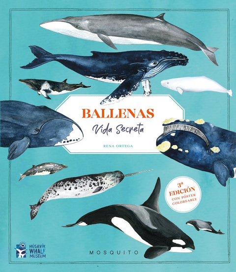  Ballenas. Vida secreta (3ª edición con póster coloreable) 