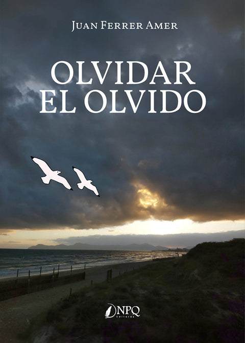  OLVIDAR EL OLVIDO 
