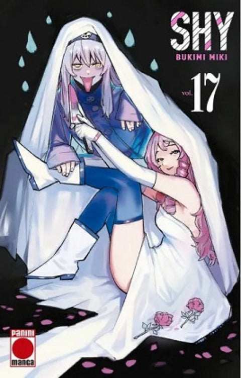  SHY 17 