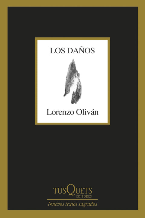  Los daños 