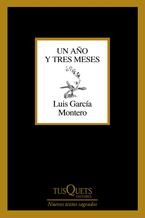  Un año y tres meses 
