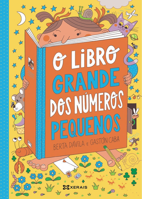  O libro grande dos números pequenos 