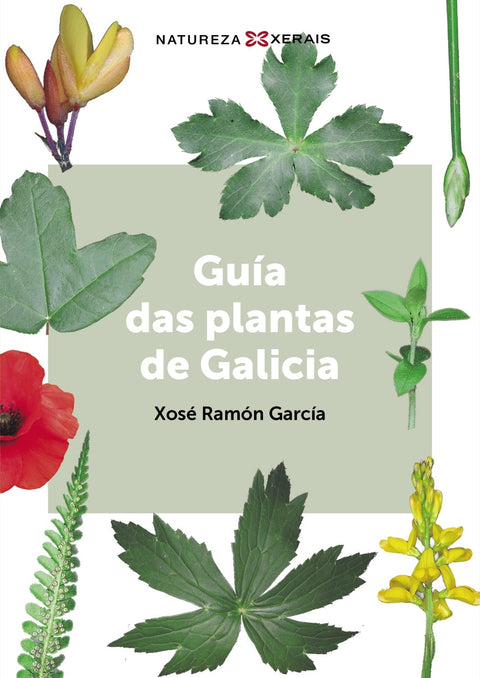  Guía das plantas de Galicia 