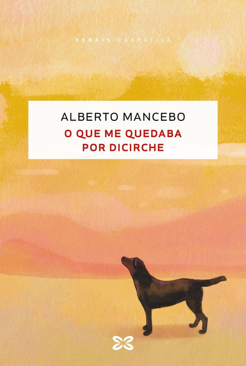  O que me quedaba por dicirche 