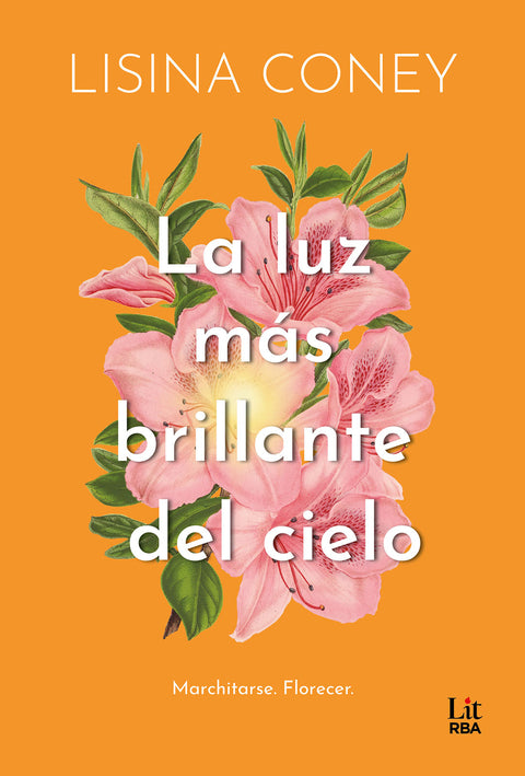  La luz más brillante del cielo 