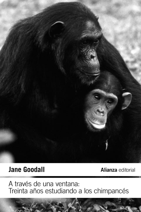  A través de una ventana: Treinta años estudiando a los chimpancés 