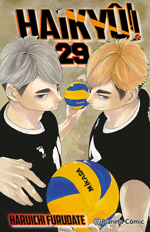  Haikyû!! nº 29/45 