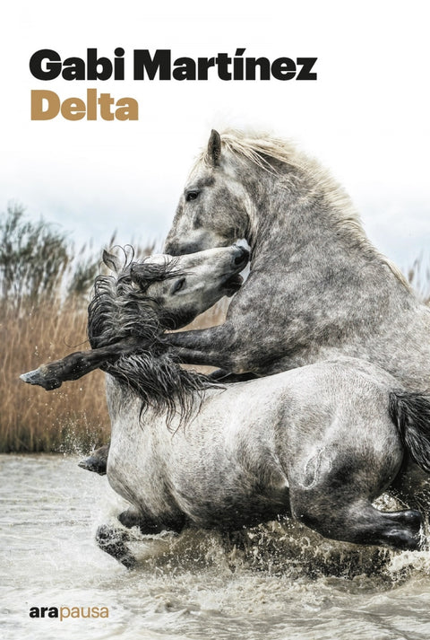 Delta 